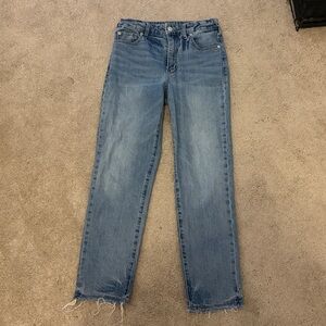 Pilcro Light Blue Straight Jeans cropped